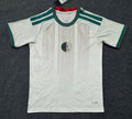 Custom Algeria Soccer Jersey – Personalized Name & Number Football Shirt:2026 Cup Fans