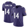 Baltimore #14 Hamilton Player Football V Neck Short Sleeve Purple Jersey Kyle For Men Youth Women Gift