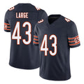 Chicago #43 Hayden Football V Neck Short Sleeve Navy Jersey Large For Men Youth Women Gift
