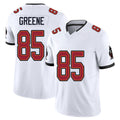 Tampa Bay #85 Greene Player Football V Neck Short Sleeve Jersey White Garrett For Men Youth Women Gift