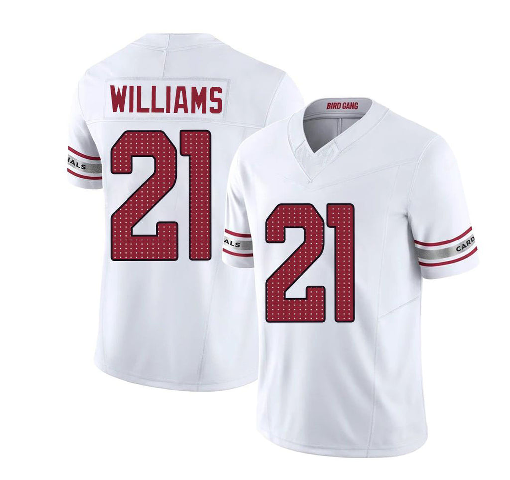 Arizona #21 Garrett Player Football V Neck Short Sleeve White Jersey Williams For Men Youth Women Gift
