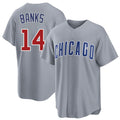 Chicago C #14 Banks Player Baseball Short Sleeve Gray Jersey Ernie For Men Women Youth Gift