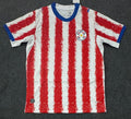 Custom Paraguay Soccer Jersey – Personalized Name & Number Football Shirt:2026 Cup Fans