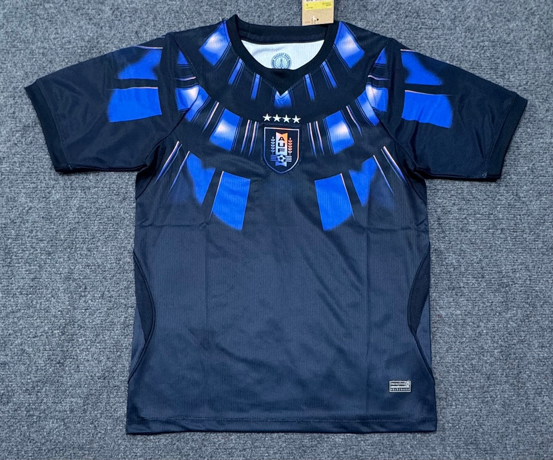 Custom Uruguay Soccer Jersey – Personalized Name & Number Football Shirt:2026 Cup Fans
