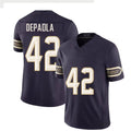 Minnesota #42 DePaola Player Football V Neck Short Sleeve Purple Jersey Andrew For Men Youth Women Gift