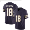 Minnesota #18 Jefferson Player Football V Neck Short Sleeve Purple Jersey Justin For Men Youth Women Gift