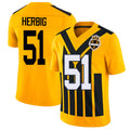Pittsburgh #51 Herbig Player Football V Neck Short Sleeve Gold Jersey Nick For Men Youth Women Gift