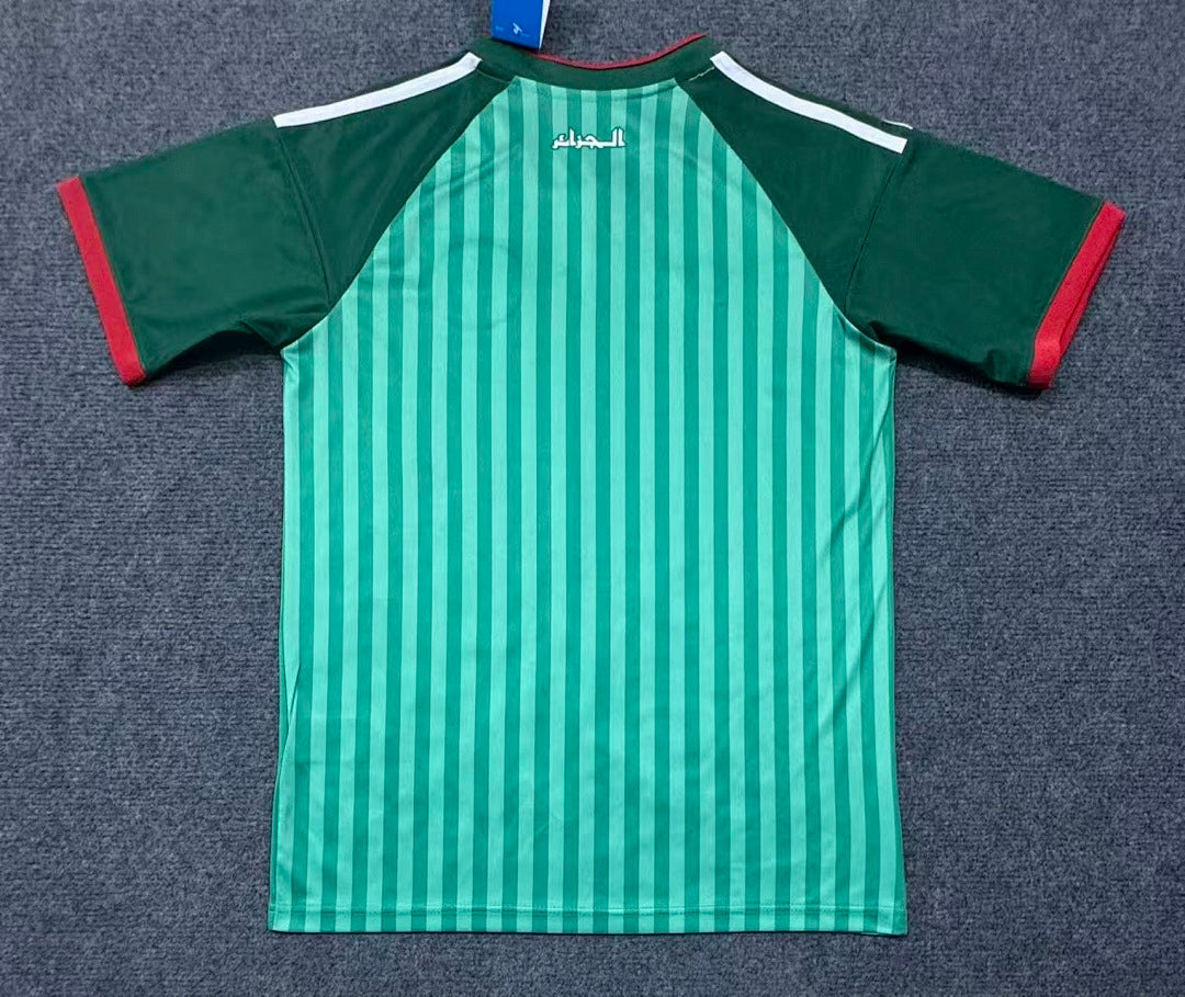 Custom Algeria Soccer Jersey – Personalized Name & Number Football Shirt:2026 Cup Fans